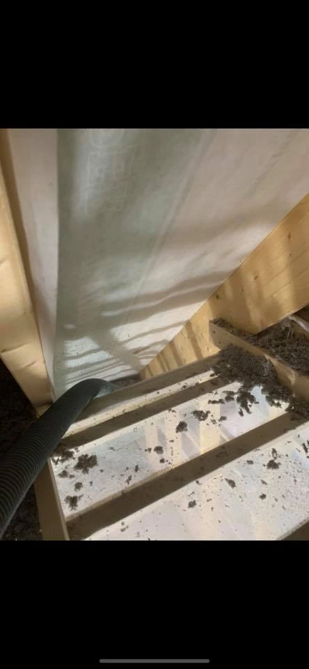 Timmy Lewton installerar cellulosaisolering på en vind